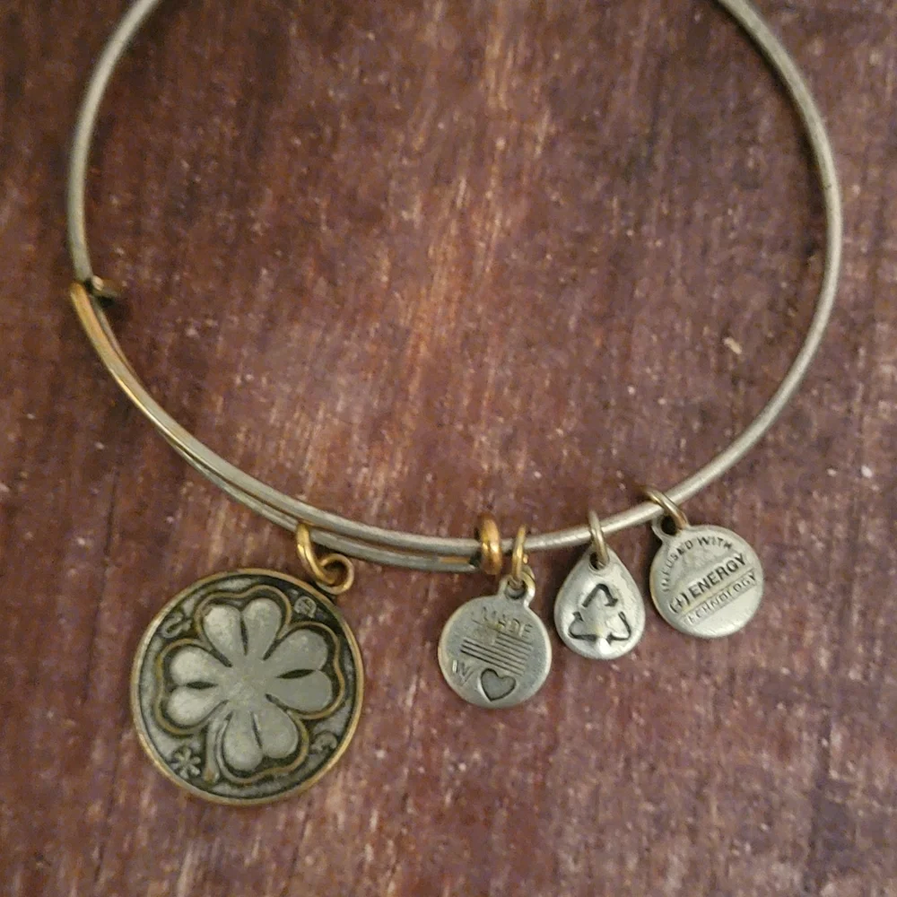 Alex and Ani "Four Leaf Clover" Bangle Bracelet - Retired - Picture 2 of 7